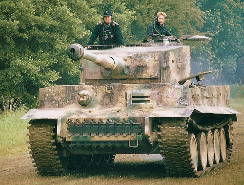 tiger.jpg